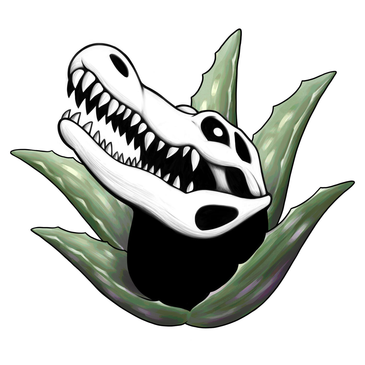 AloeGator Skull 2/8/24